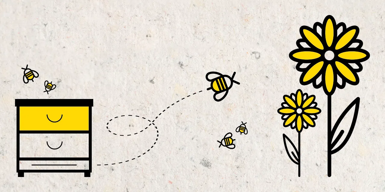 Deutscher Honig von eigenen Bienen