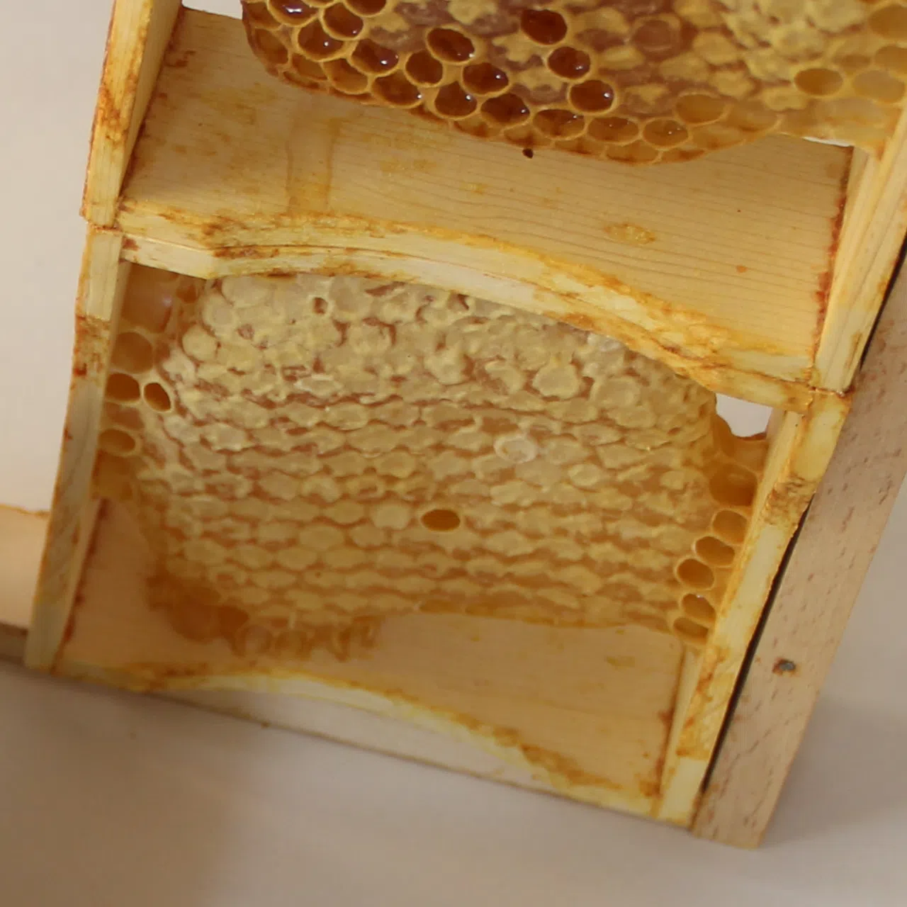 GLABBICHER Bienenwabe im Holzrähmchen